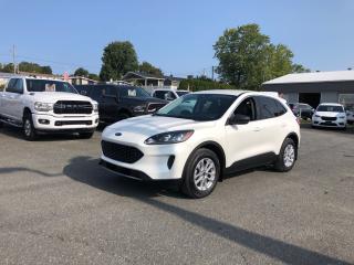 Used 2022 Ford Escape SE for sale in London, ON