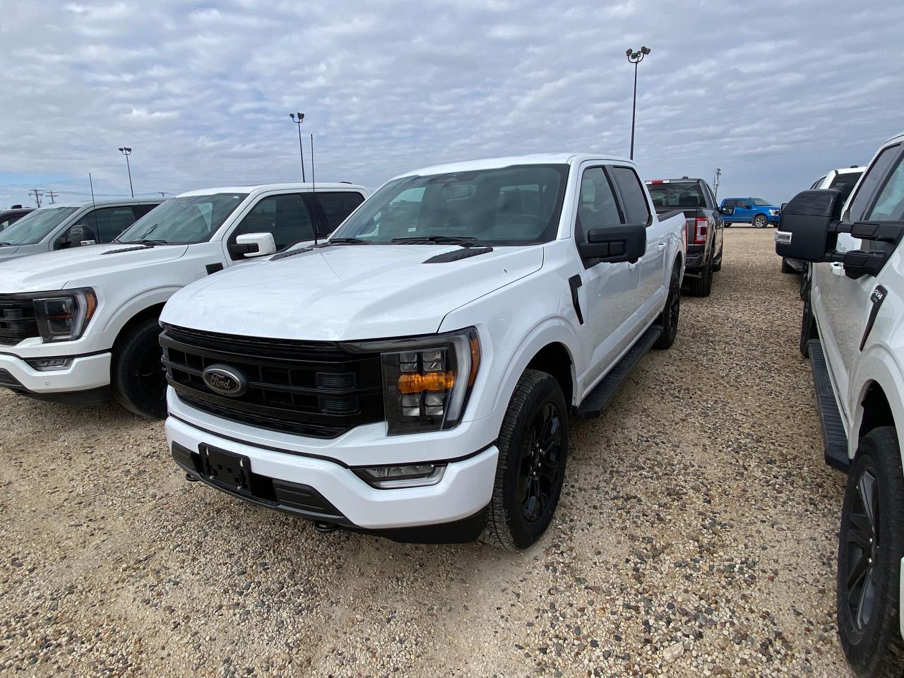 New 2023 Ford F-150 XLT 4WD SUPERCREW 5.5' BOX for sale in Elie, MB