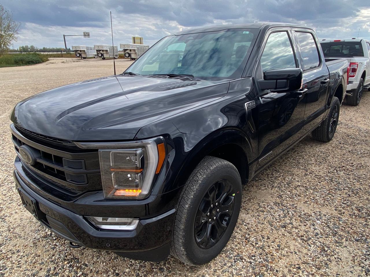 2023 Ford F-150 PLATINUM 4WD SUPERCREW 5.5' BOX