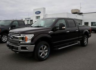 Used 2018 Ford F-150 XLT for sale in Kingston, ON