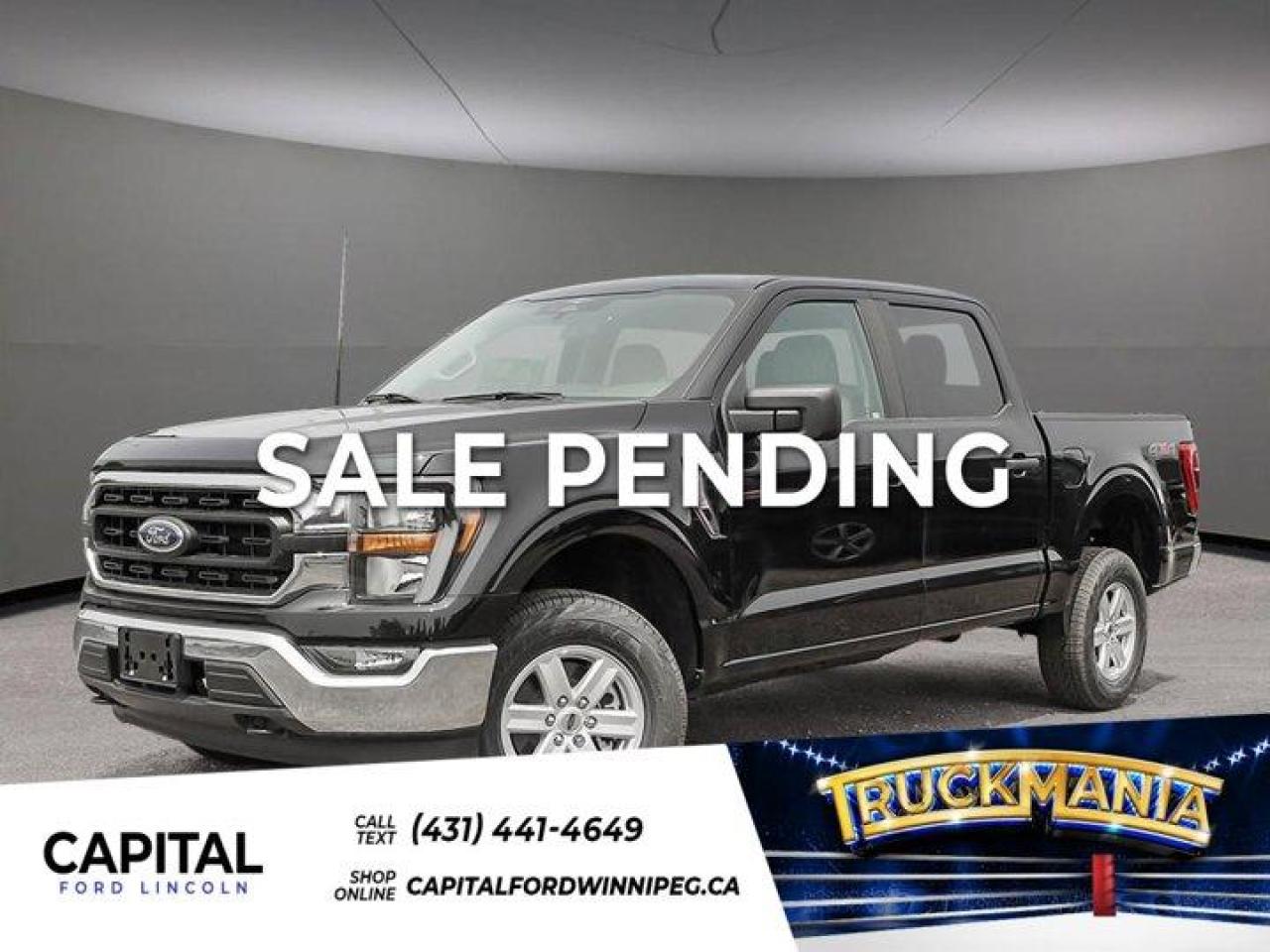 New 2023 Ford F-150 XLT for sale in Winnipeg, MB