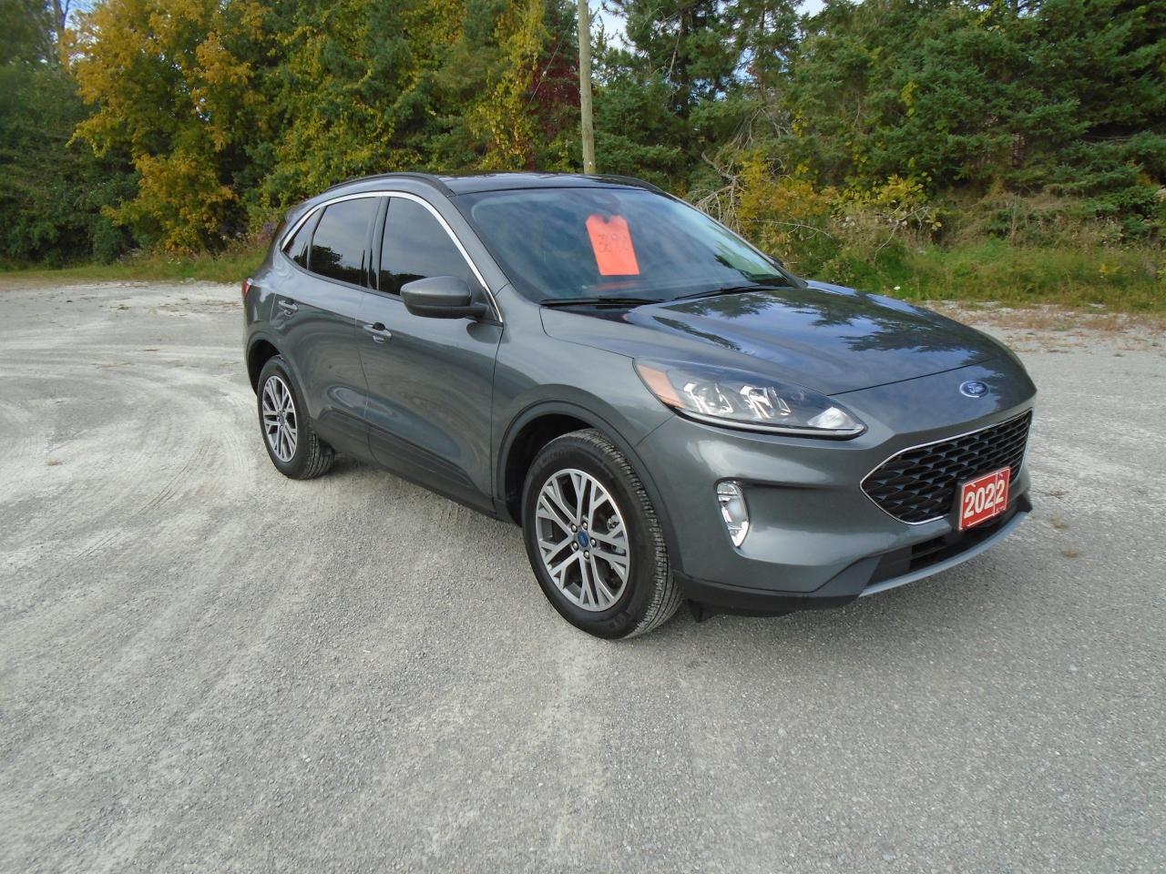 Used 2022 Ford Escape SEL AWD LEATHER / NAV/ ROOF for sale in Beaverton, ON