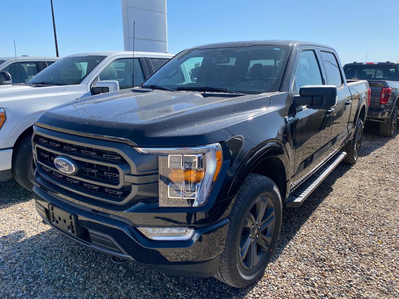 New 2023 Ford F-150 XLT 4WD SUPERCREW 6.5' BOX for sale in Elie, MB