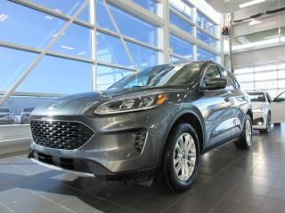 Used 2020 Ford Escape SE for sale in Dieppe, NB