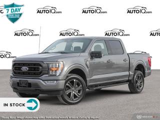 New 2023 Ford F-150 XLT for sale in Kitchener, ON
