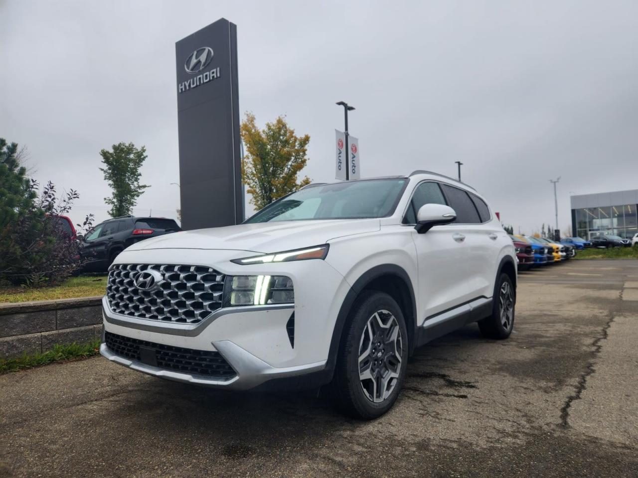 Used 2021 Hyundai Santa Fe HYBRID for sale in Edmonton, AB