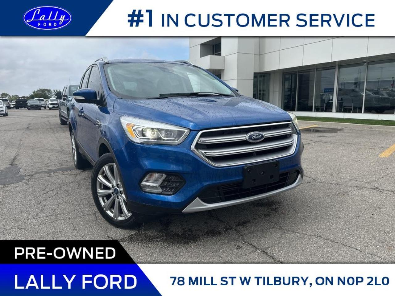 Used 2017 Ford Escape Titanium, AWD, Roof, Nav, Local Trade! for sale in Tilbury, ON