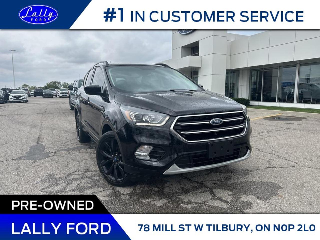 Used 2019 Ford Escape SE, AWD, Nav, Sport packag!! for sale in Tilbury, ON