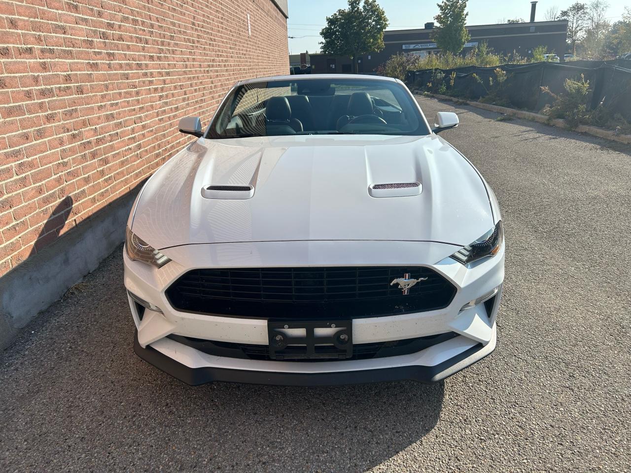 2019 Ford Mustang GT PREMIUM CONVERTIBLE, CALIFORNIA SPECIAL - Photo #6