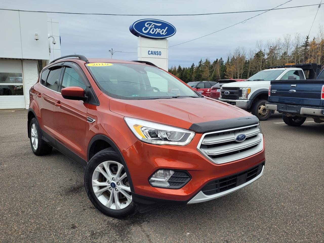 2019 Ford Escape SEL AWD W/LEATHER Photo0