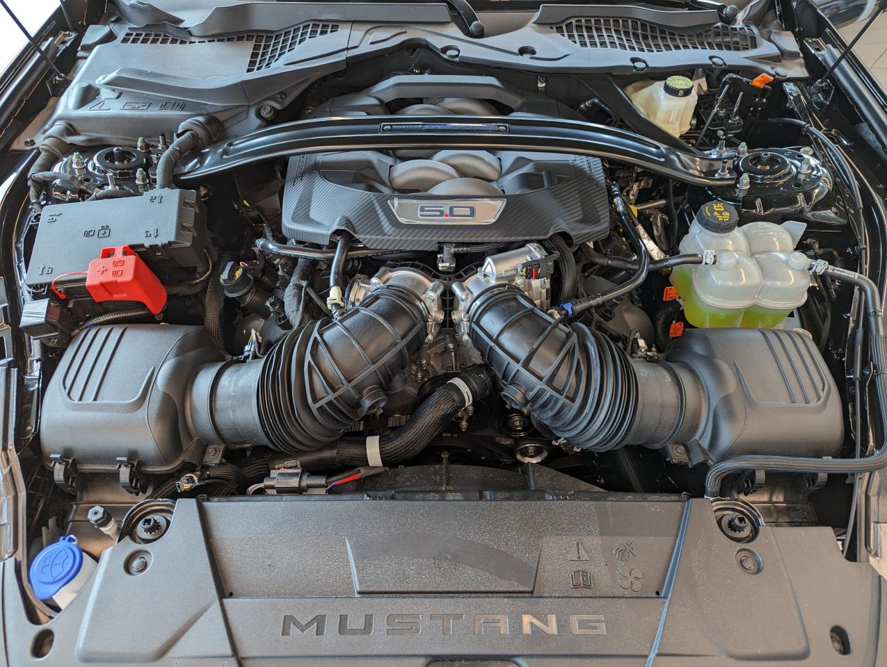 2024 Ford Mustang Dark Horse Photo5