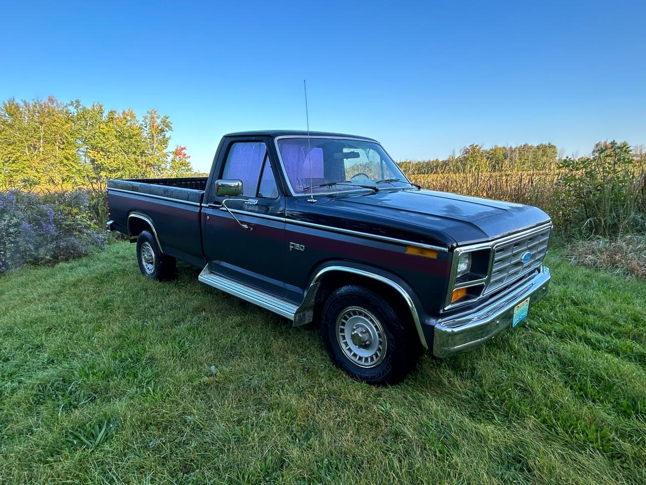 1983 Ford F-150 