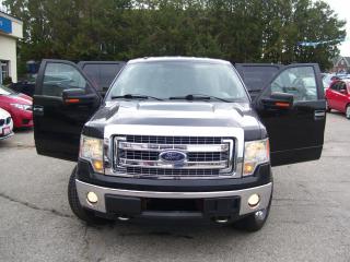 2013 Ford F-150 XLT,SUPERCREW,4X4,Bluetooth,Tinted,Fogs,Certified - Photo #26