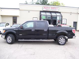 2013 Ford F-150 XLT,SUPERCREW,4X4,Bluetooth,Tinted,Fogs,Certified - Photo #10