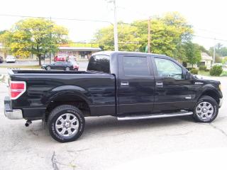 2013 Ford F-150 XLT,SUPERCREW,4X4,Bluetooth,Tinted,Fogs,Certified - Photo #6
