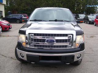 2013 Ford F-150 XLT,SUPERCREW,4X4,Bluetooth,Tinted,Fogs,Certified - Photo #8