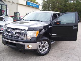 2013 Ford F-150 XLT,SUPERCREW,4X4,Bluetooth,Tinted,Fogs,Certified - Photo #19