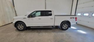Used 2020 Ford F-150 XLT SUPERCREW 6.5-FT for sale in Dundurn, SK