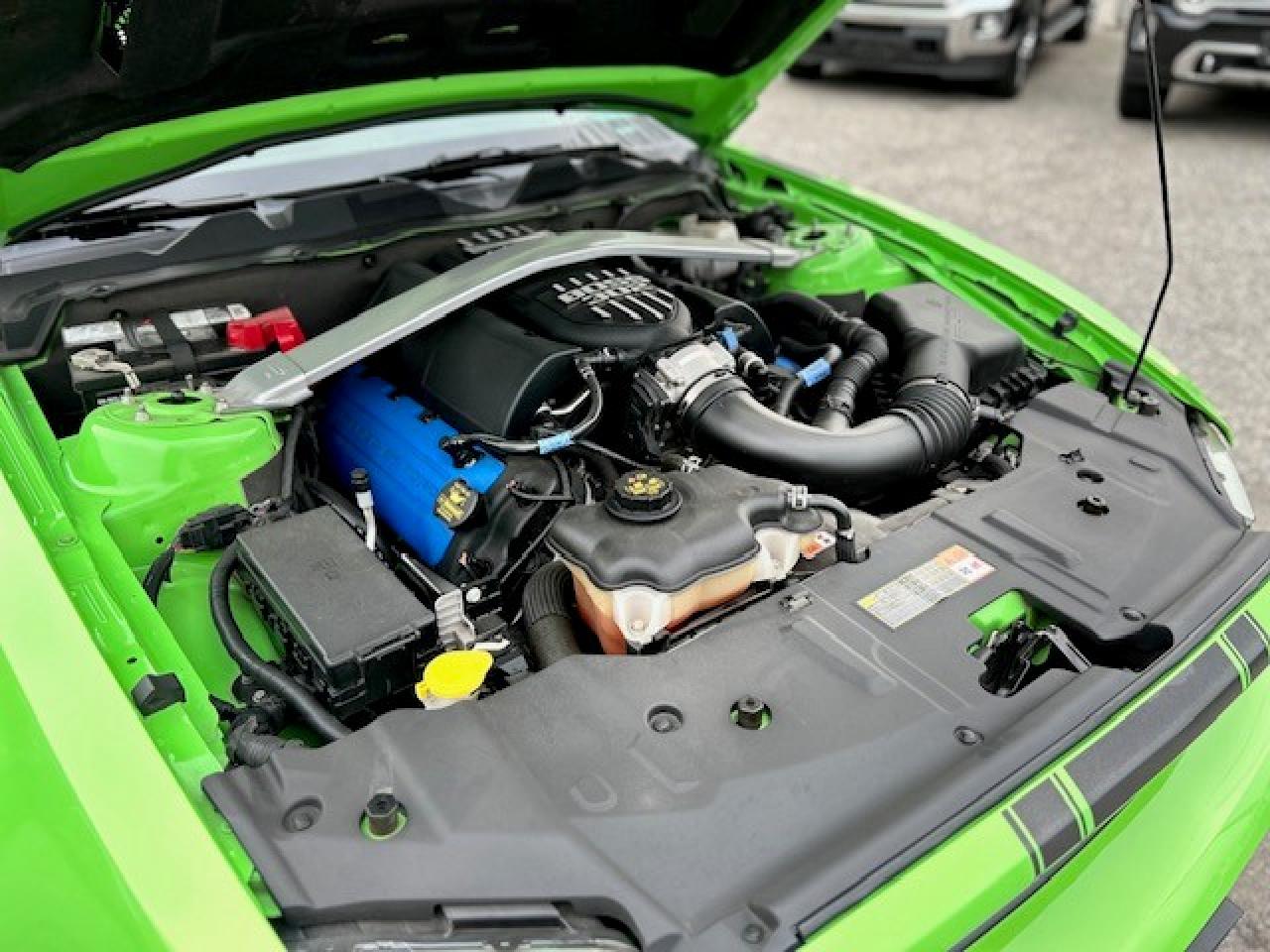 2013 Ford Mustang Boss 302 Photo2