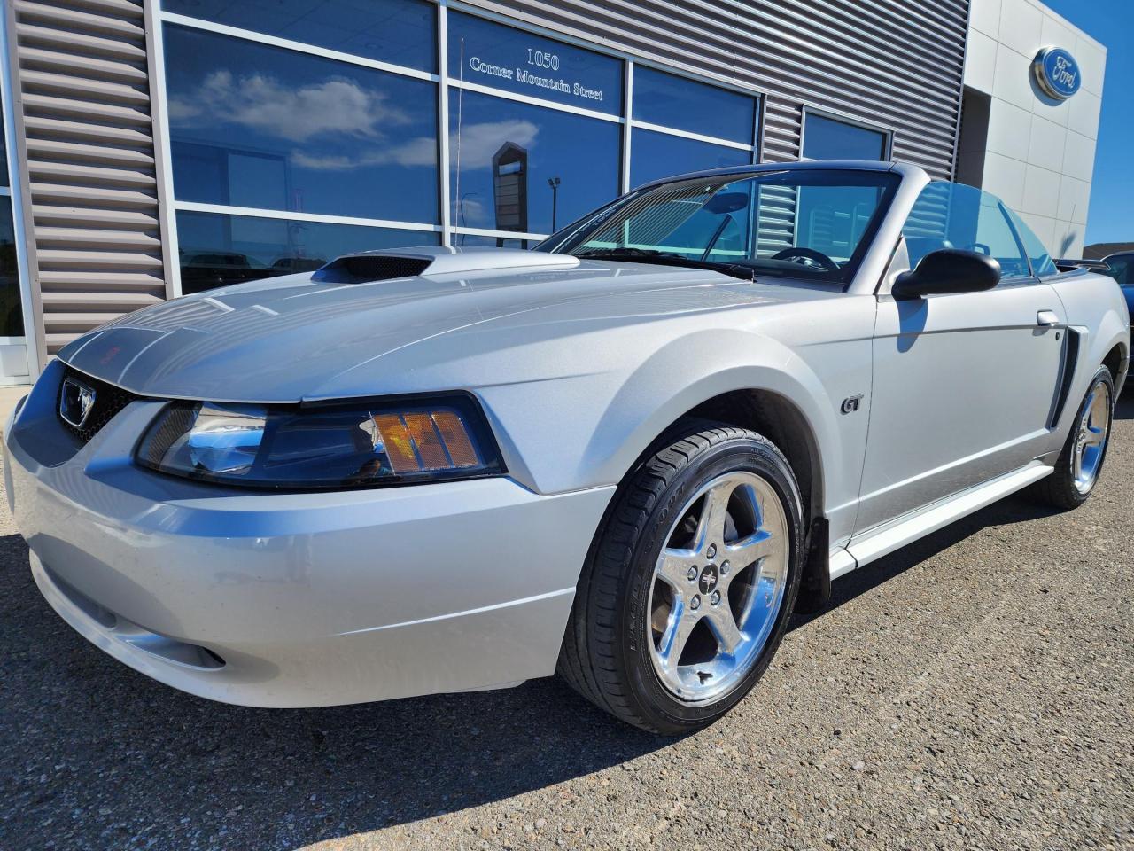 Used 2003 Ford Mustang GT for sale in Pincher Creek, AB