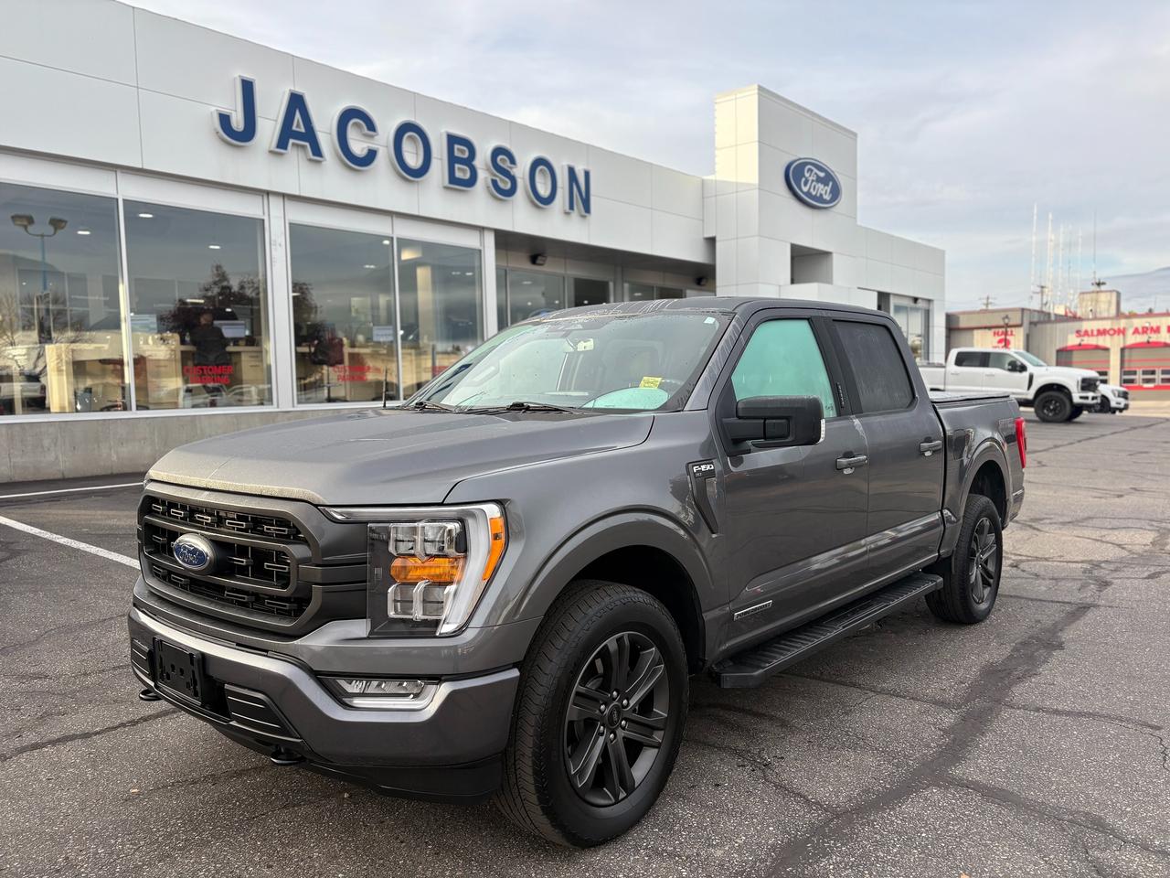 Gray (Carbonized Grey Metallic) 2022 Ford F-150 Pickup Truck Four-Wheel Drive Automatic