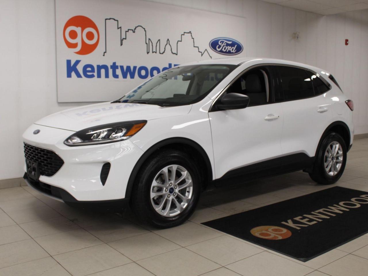 Used 2022 Ford Escape  for sale in Edmonton, AB
