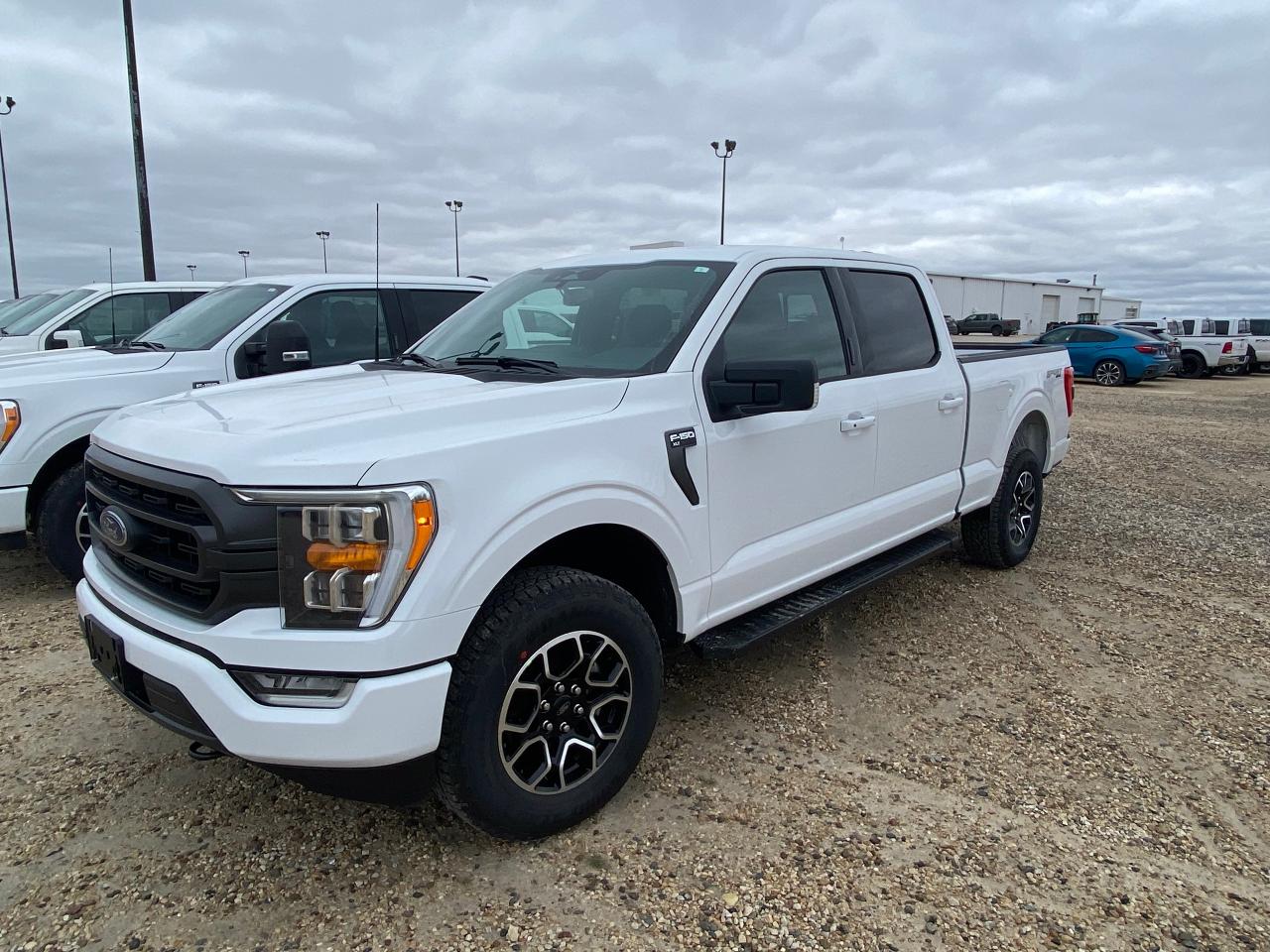 New 2023 Ford F-150 XLT 4WD SuperCrew 6.5' Box 302A for sale in Elie, MB