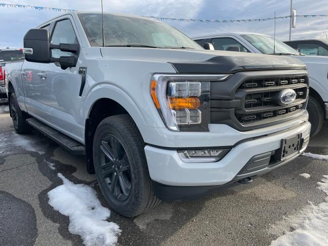 2023 Ford F-150 XLT  - Tailgate Step Photo1