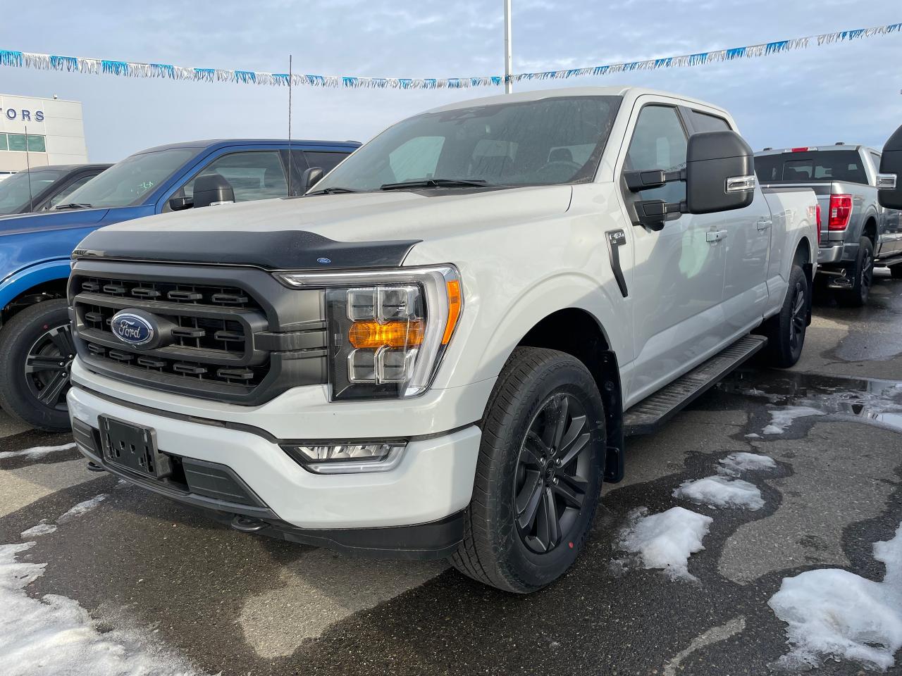 2023 Ford F-150 XLT  - Tailgate Step Photo0