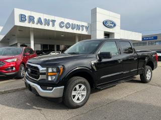 New 2023 Ford F-150 XLT 4WD SUPERCREW 6.5' BOX for sale in Brantford, ON