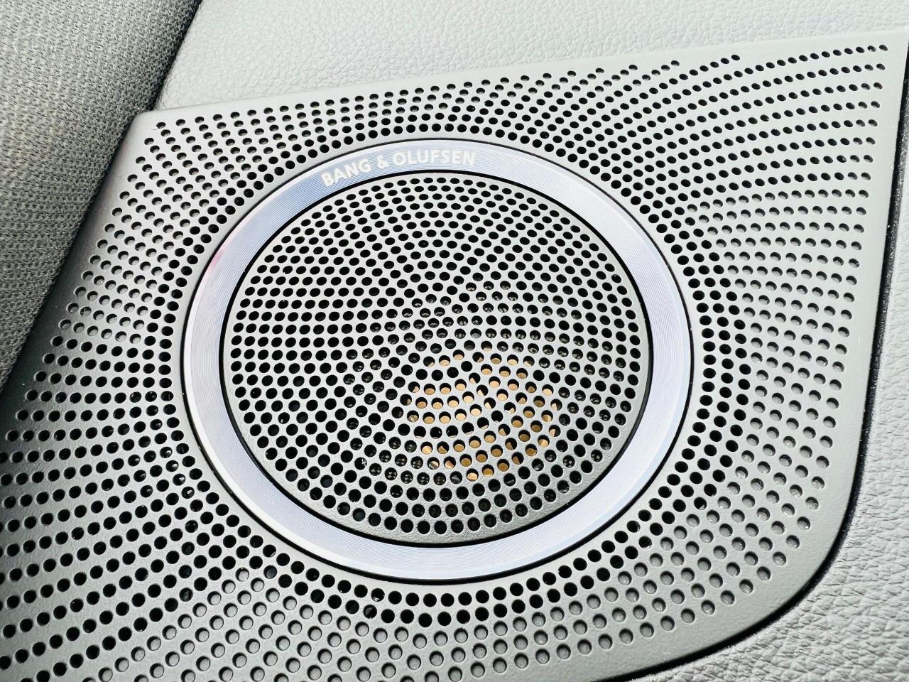 2014 Audi SQ5 - BLINDSPOT|NAVI|CAMERA|PANO|BANG&OLUFSEN - Photo #17