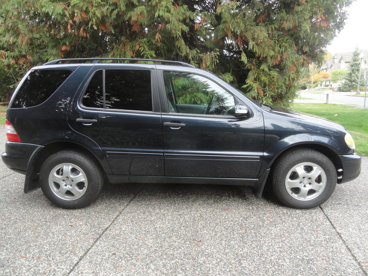 2002 Mercedes-Benz ML 320 DOC FEE ONLY $195. - Photo #3