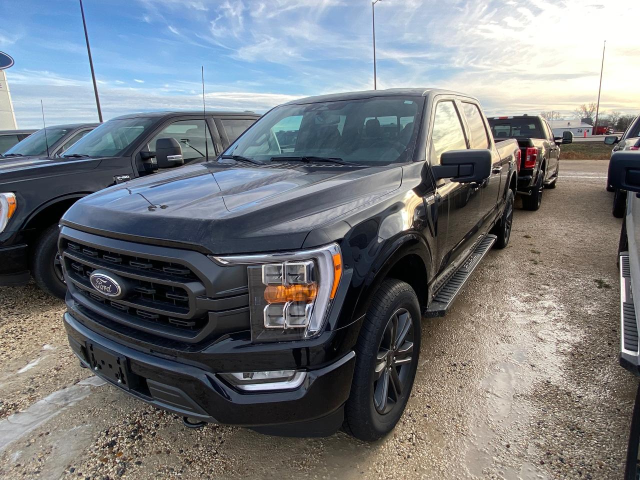 New 2023 Ford F-150 XLT 4WD SuperCrew 6.5' Box 302A for sale in Elie, MB