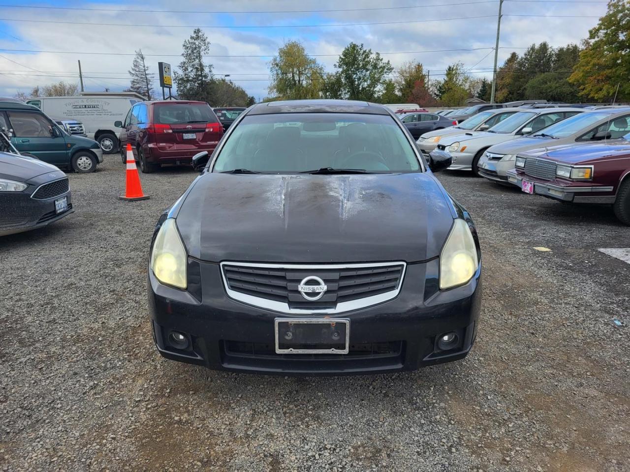 Used 2008 Nissan Maxima SE for sale in Stittsville, ON