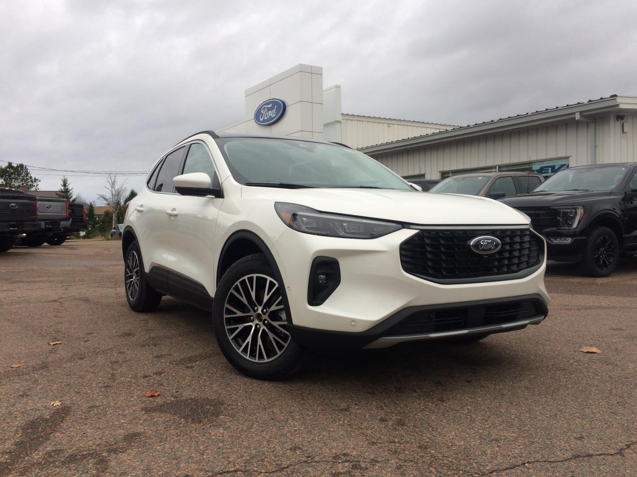 Image - 2023 Ford Escape 