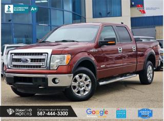 Used 2014 Ford F-150 XLT SuperCrew 4WD for sale in Edmonton, AB
