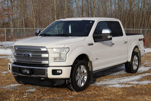 Image - 2015 Ford F-150 4x4 Supercrew-157