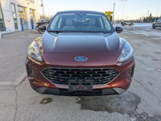 2021 Ford Escape SE Hybrid Photo