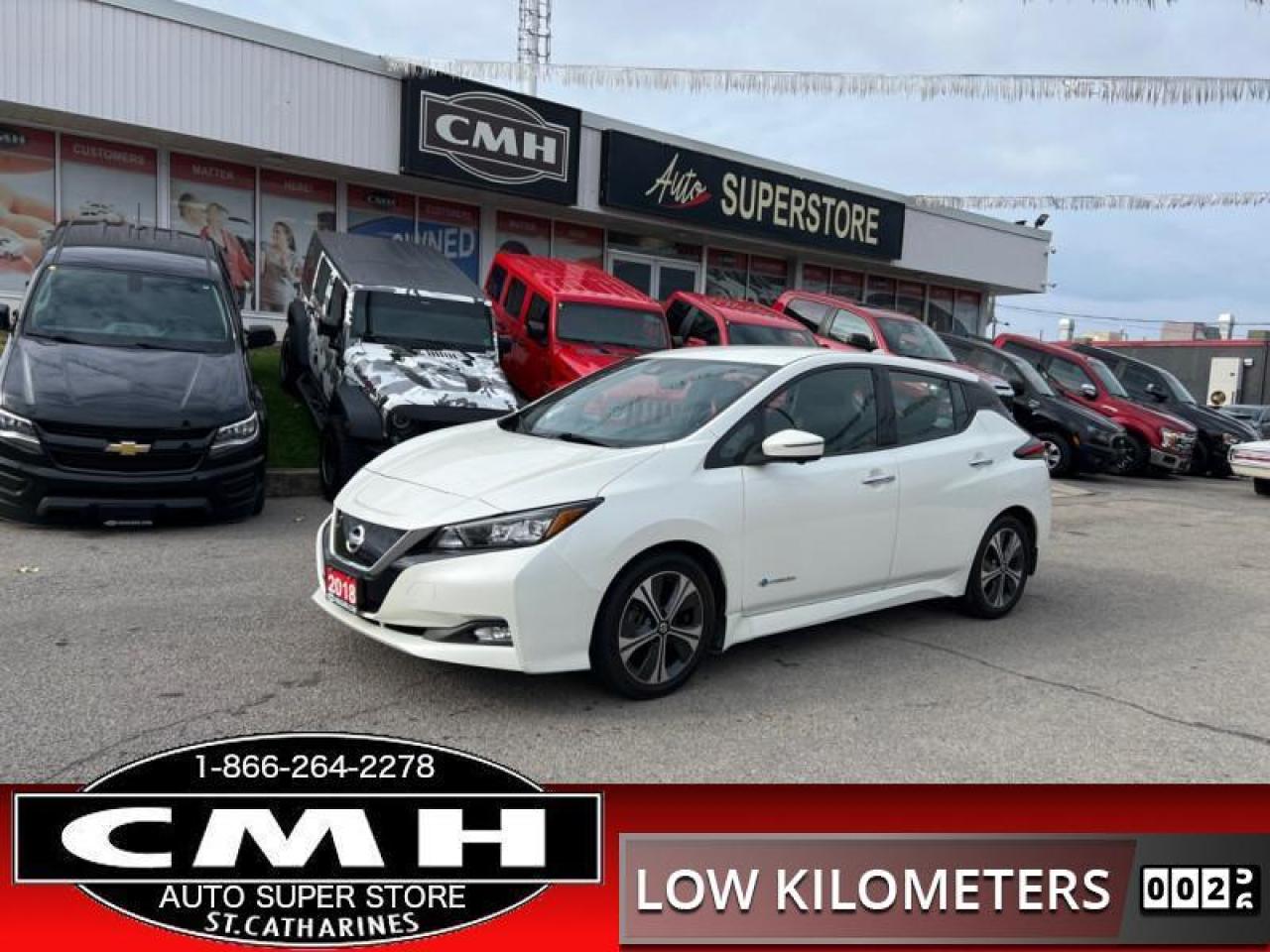 Used 2018 Nissan Leaf SL  NAV LEATH HTD-SW 360-CAM BLINDSPOT for sale in St. Catharines, ON