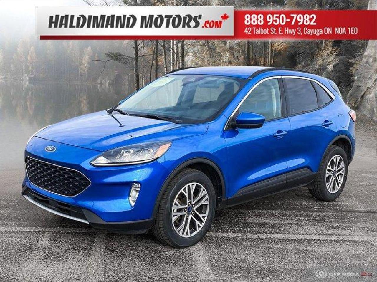 Used 2020 Ford Escape SEL for sale in Cayuga, ON