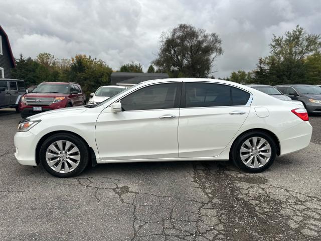 2014 Honda Accord EX-L Certified , Clean Photo6