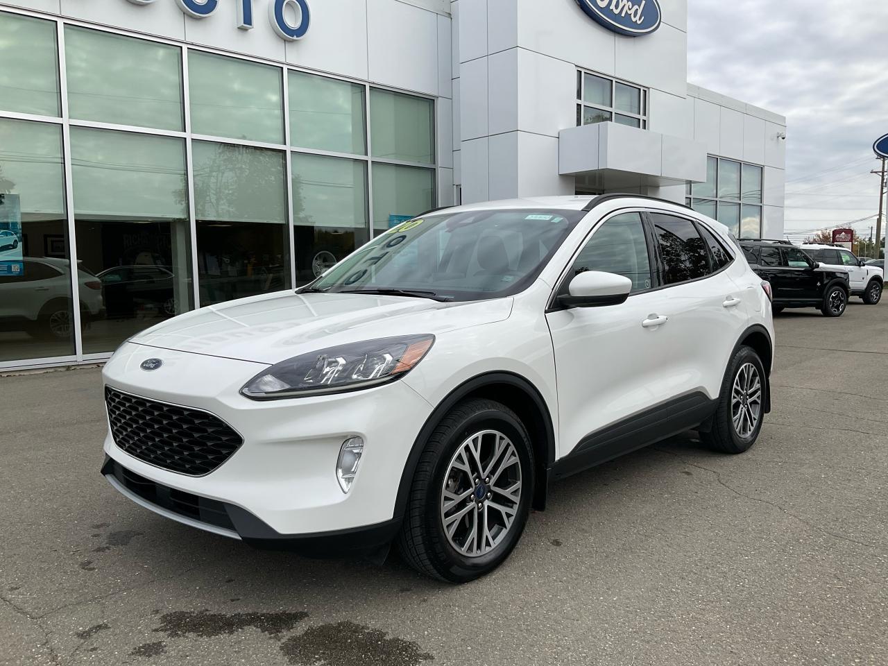 Image - 2020 Ford Escape SEL