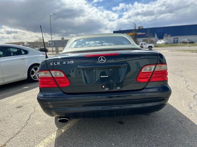 2002 Mercedes-Benz CLK CLK430 CABRIOLET- LOW KM- NO ACCIDENTS-CONVERTIBLE - Photo #6