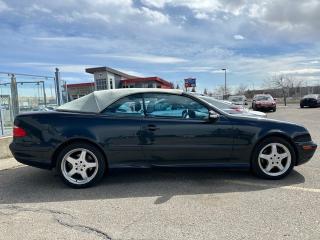 2002 Mercedes-Benz CLK CLK430 CABRIOLET- LOW KM- NO ACCIDENTS-CONVERTIBLE - Photo #4