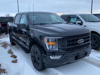 New 2023 Ford F-150 XLT 4WD SuperCrew 5.5' Box 302A for sale in Elie, MB