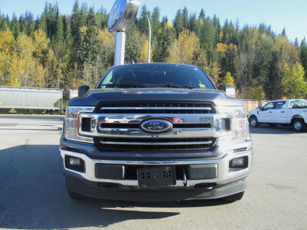 2020 Ford F-150 XLT Photo