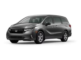 New 2024 Honda Odyssey BLACK EDITION FACTORY ORDER - CUSTOM for sale in Winnipeg, MB