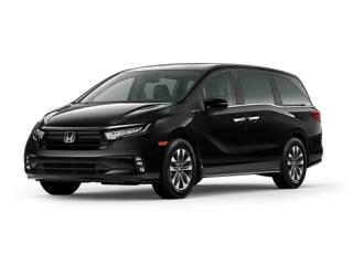 New 2024 Honda Odyssey EX-L Factory Order - Custom for sale in Winnipeg, MB