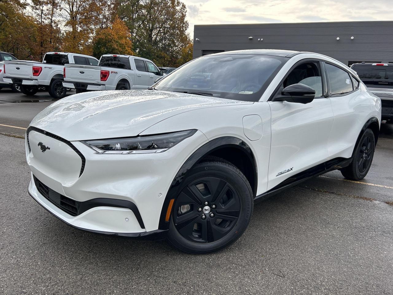 New 2023 Ford Mustang Mach-E California Route 1 for sale in Caledonia, ON