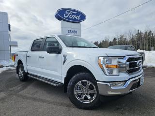 New 2023 Ford F-150 XLT 4WD SUPERCREW 5.5 BOX for sale in Port Hawkesbury, NS